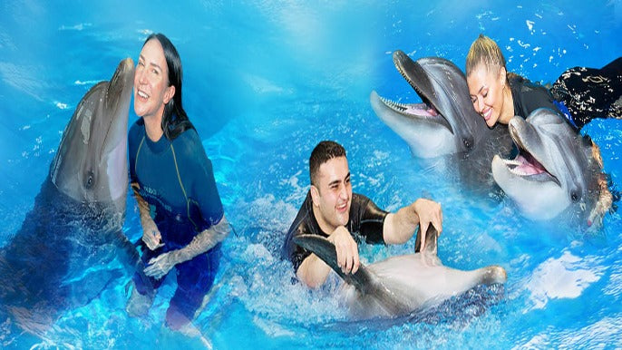 Dolphin & Seal Show Regular Tickets